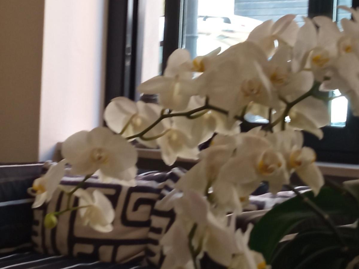 Hotel Touring Livorno Dış mekan fotoğraf